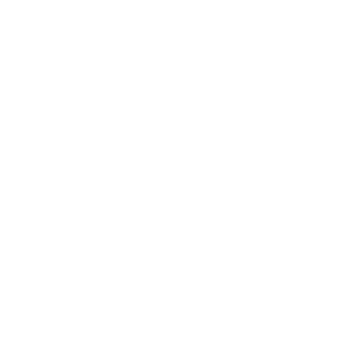 Logo footer